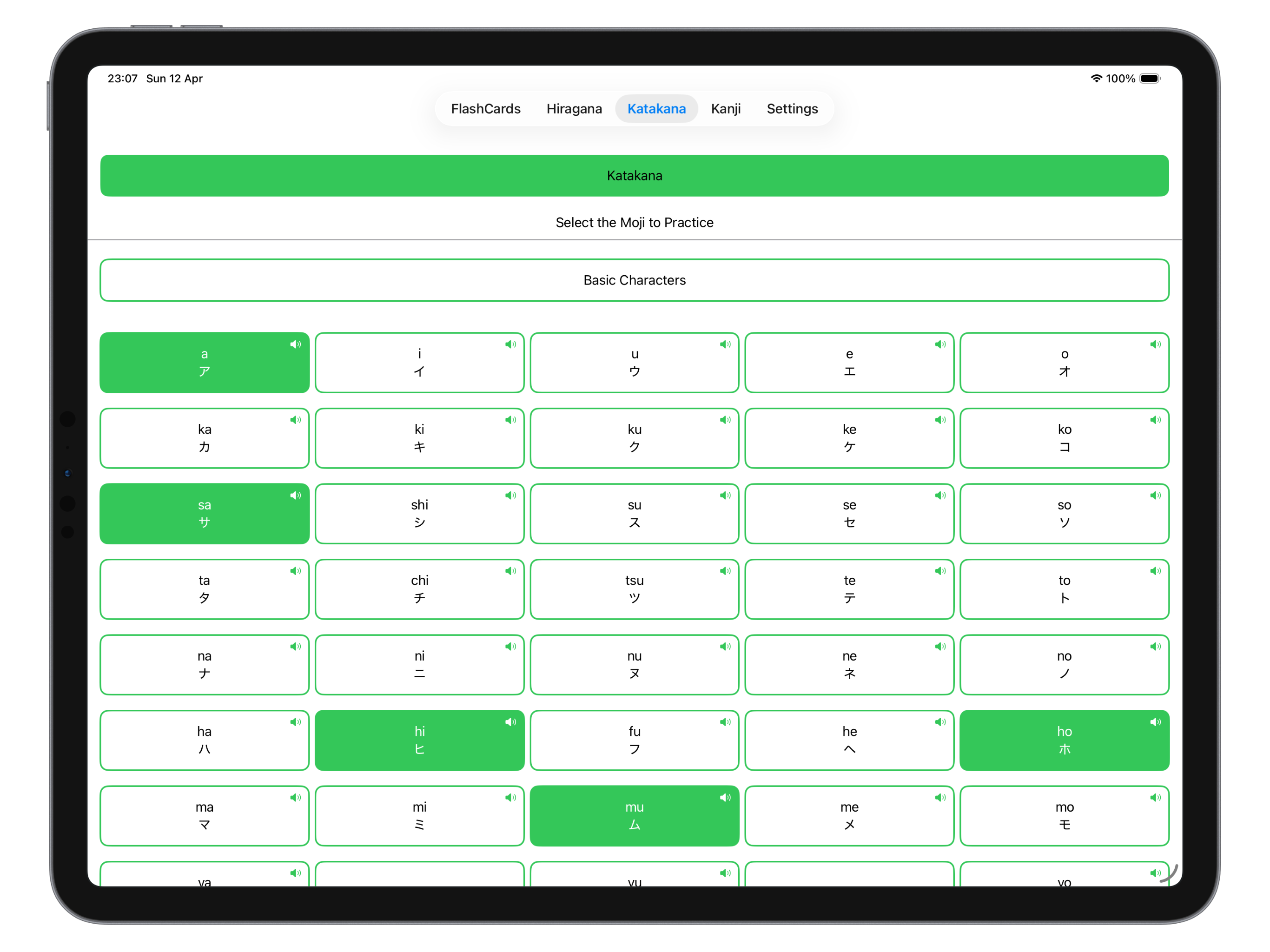 Moji FlashCards running on iPad with large flashcards